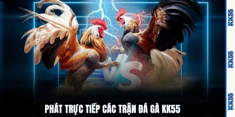 Phát trực tiếp các trận đá gà KK55
